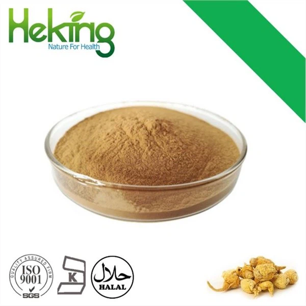 Hoogwaardig Maca-wortelextract