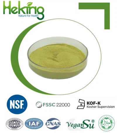 Sophora Japonica-extract